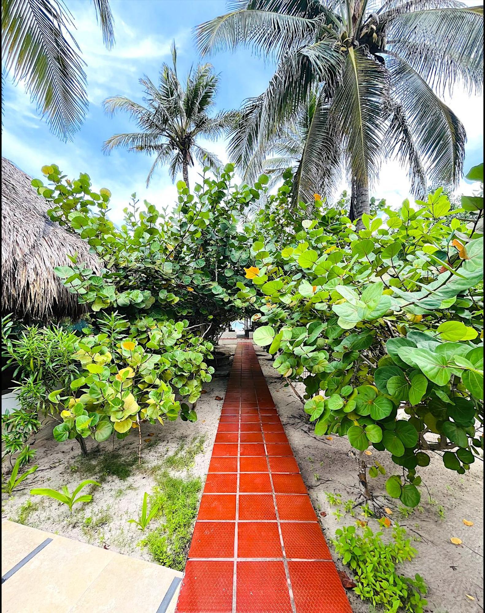Carey Beach Isla Barú Exterior foto