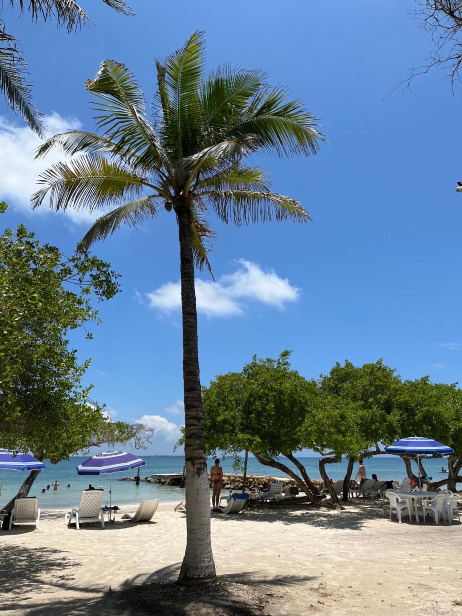 Carey Beach Isla Barú Exterior foto